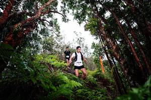 BIB: 
                            <button type="button" onclick="openModal(26202594)" class="btn btn-primary btn-sm float-right btn-popup" data-toggle="modal" data-target=".modal-high-quality">
                        <i class="fas fa-shopping-cart"></i> Add to Cart
                    </button>
                                            <button type="button" onclick="isThisMe(26202594, true)" class="btn btn-success btn-sm float-right btn-popup btn-isme hidden" data-toggle="tooltip" data-placement="bottom" title="นี่คือรูปของคุณใช่ไหม คลิกที่นี่เพื่อเอาเข้าอัลบั้ม">
                        <i class="fas fa-plus"></i> Add to album
                    </button>
                    <button type="button" onclick="isThisMe(26202594, false)" class="btn btn-warning btn-sm float-right btn-popup btn-isnotme hidden">
                        <i class="fas fa-ban"></i> Remove from album
                    </button>